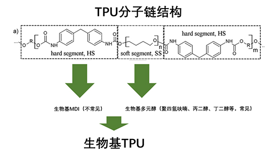 全球2.jpg