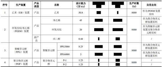 东方盛虹3.jpg