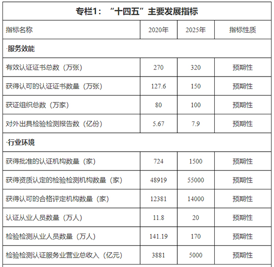 专栏11.jpg