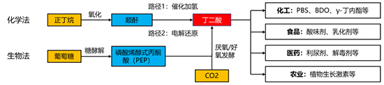 丁二酸1.jpg