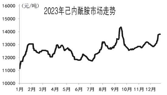 己内酰胺1.jpg