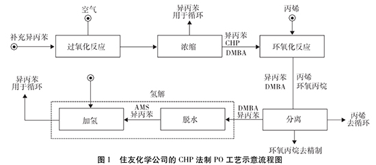 红宝丽3.jpg