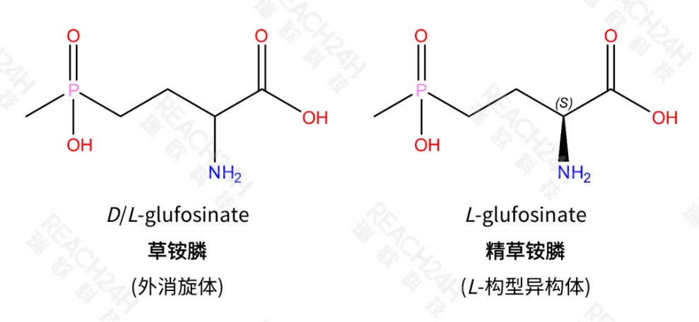 精草铵膦