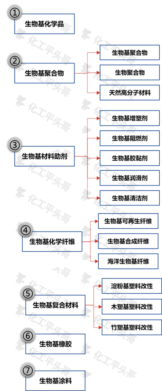 生物基图1.jpg